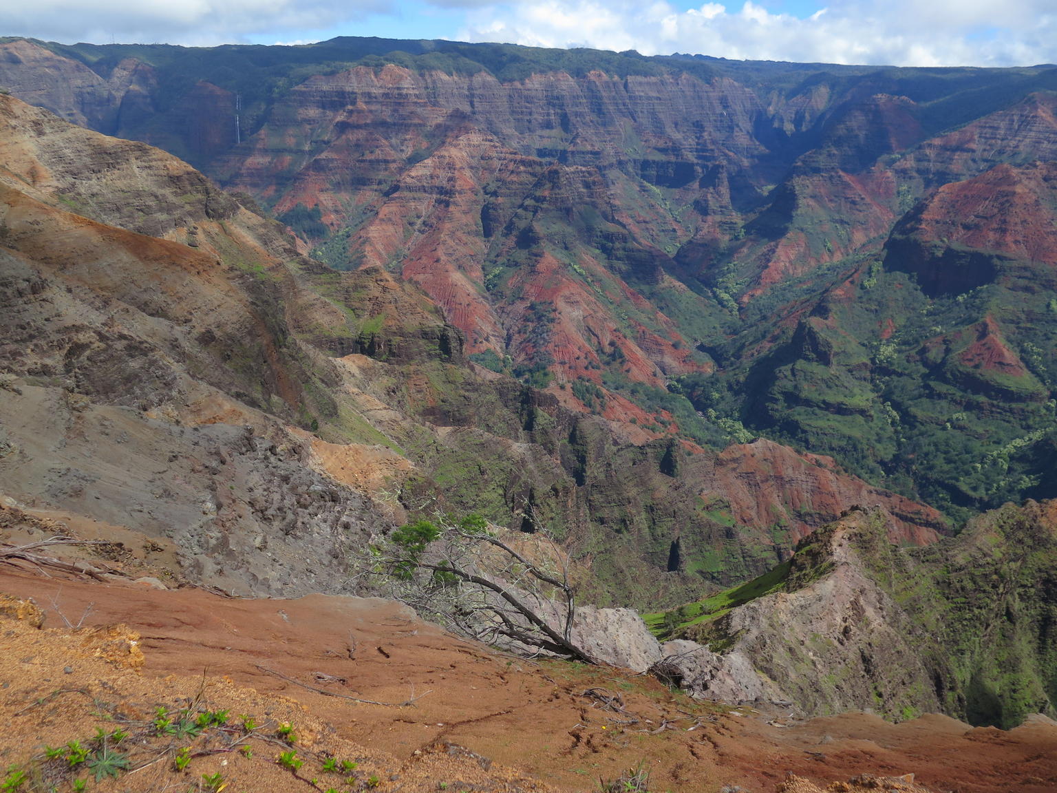 Beautiful Waimea Canyon