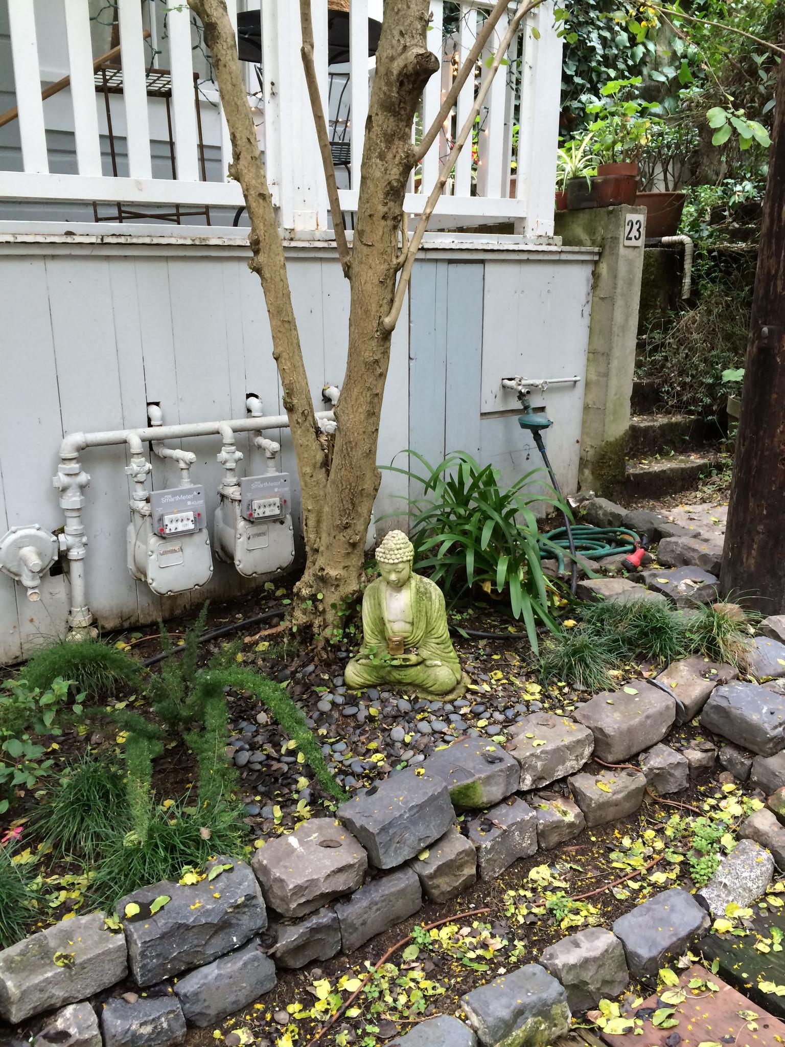 Little Buddhas