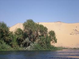 Photo of Aswan Felucca, Aswan Botanic Gardens The contrast of colours with the water, trees and orange sand dunes is amazing - June 2008