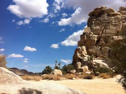 Photo of Joshua Tree National Park There were several tracking paths in various walking distance. The scenery was breathtaking. Almost felt like I was on another planet. , Jindiana - November 2012