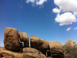 Photo of Joshua Tree National Park There were several tracking paths in various walking distance. The scenery was breathtaking. Almost felt like I was on another planet. , Jindiana - November 2012