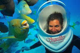 Photo of SeaWalker in Cairns! Doing the SeaWalker with notorious photobombing parrot-fish, Gavin! - July 2013