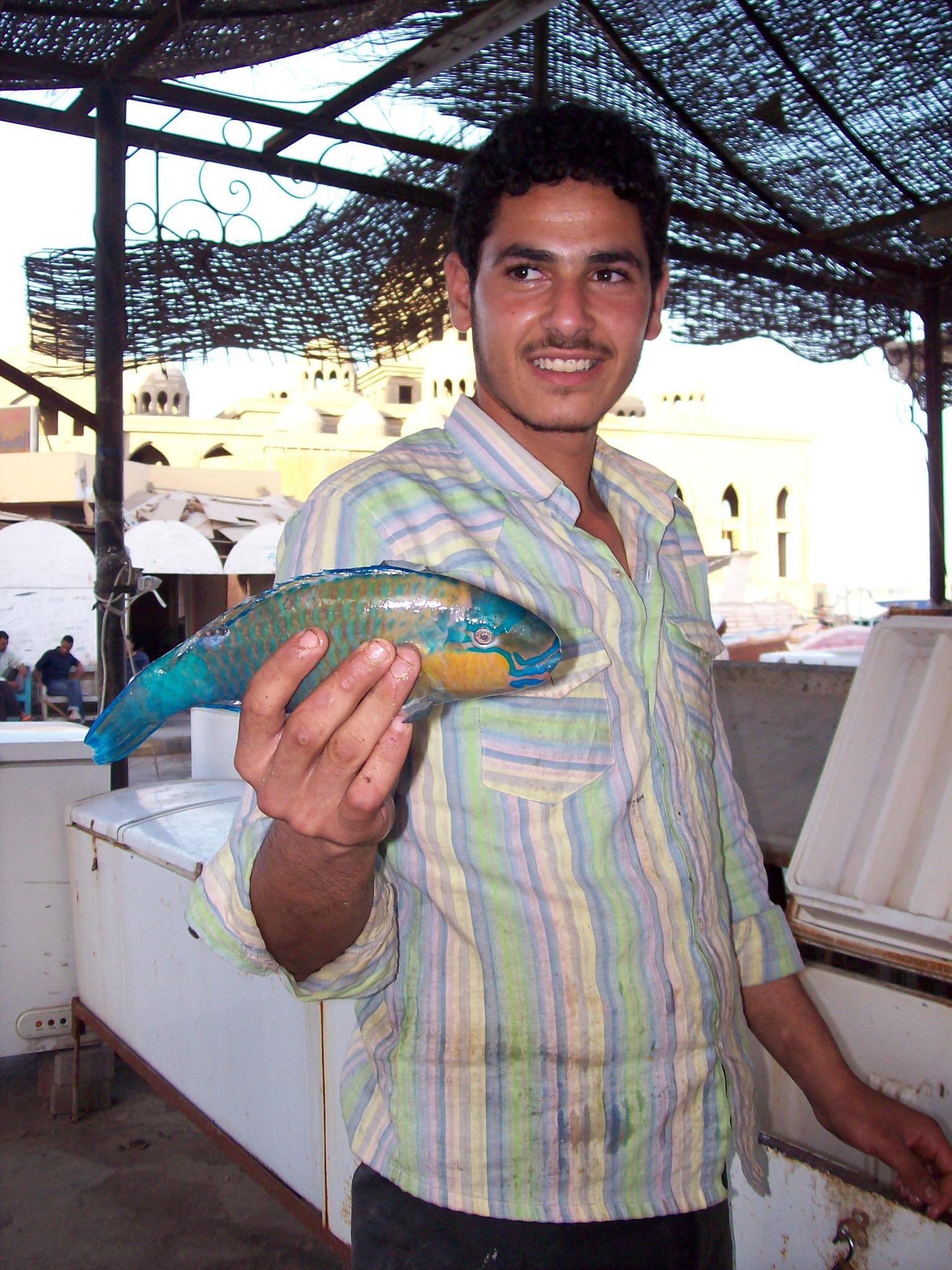 El Dahar Hurghada Old Town All Information With Photos And Reviews