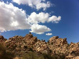 Photo of Joshua Tree National Park There were several tracking paths in various walking distance. The scenery was breathtaking. Almost felt like I was on another planet. , Jindiana - November 2012