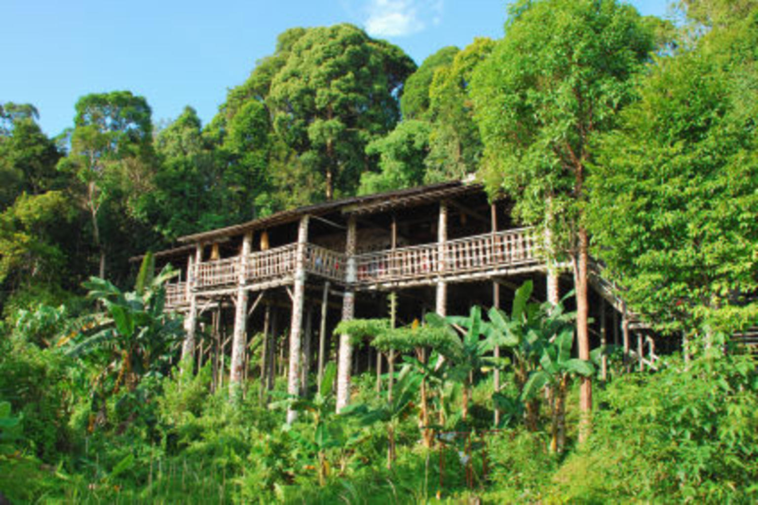 Longhouses