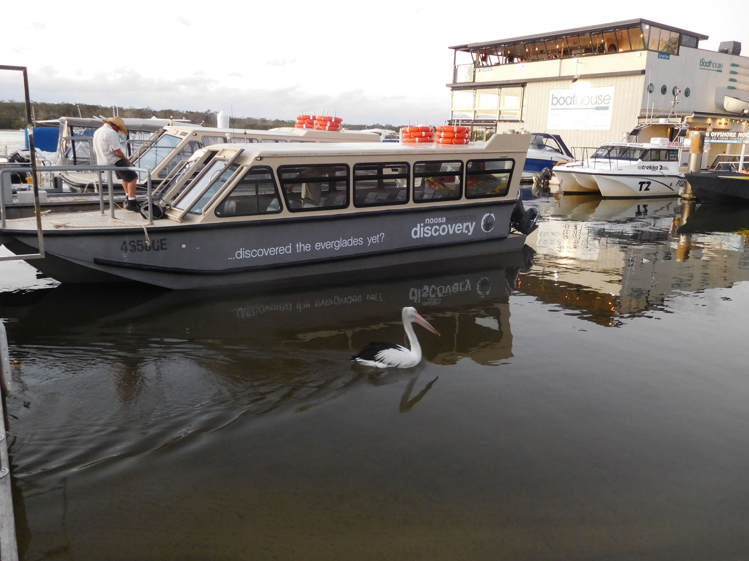 Everglades - Afternoon Cruise - Our cruise boat