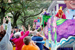 Photo of Mardi Gras Parade on St. Charles Ave - New Orleans Mardi Gras Parade on St Charles Ave - New Orleans; the crowd yells "throw me something mister" at the Krewe - May 2011