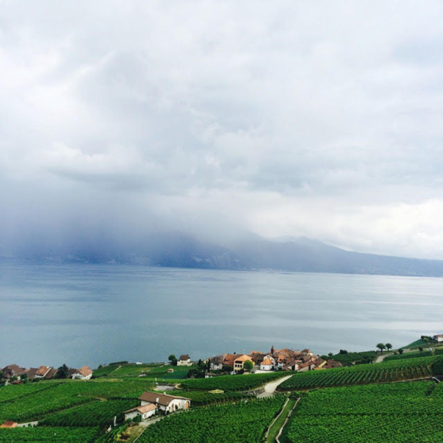 View of Lavaux