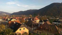 Photo of Wachau Bike Tour On the way to wineries in Wachau Valley , Hanna G - December 2014