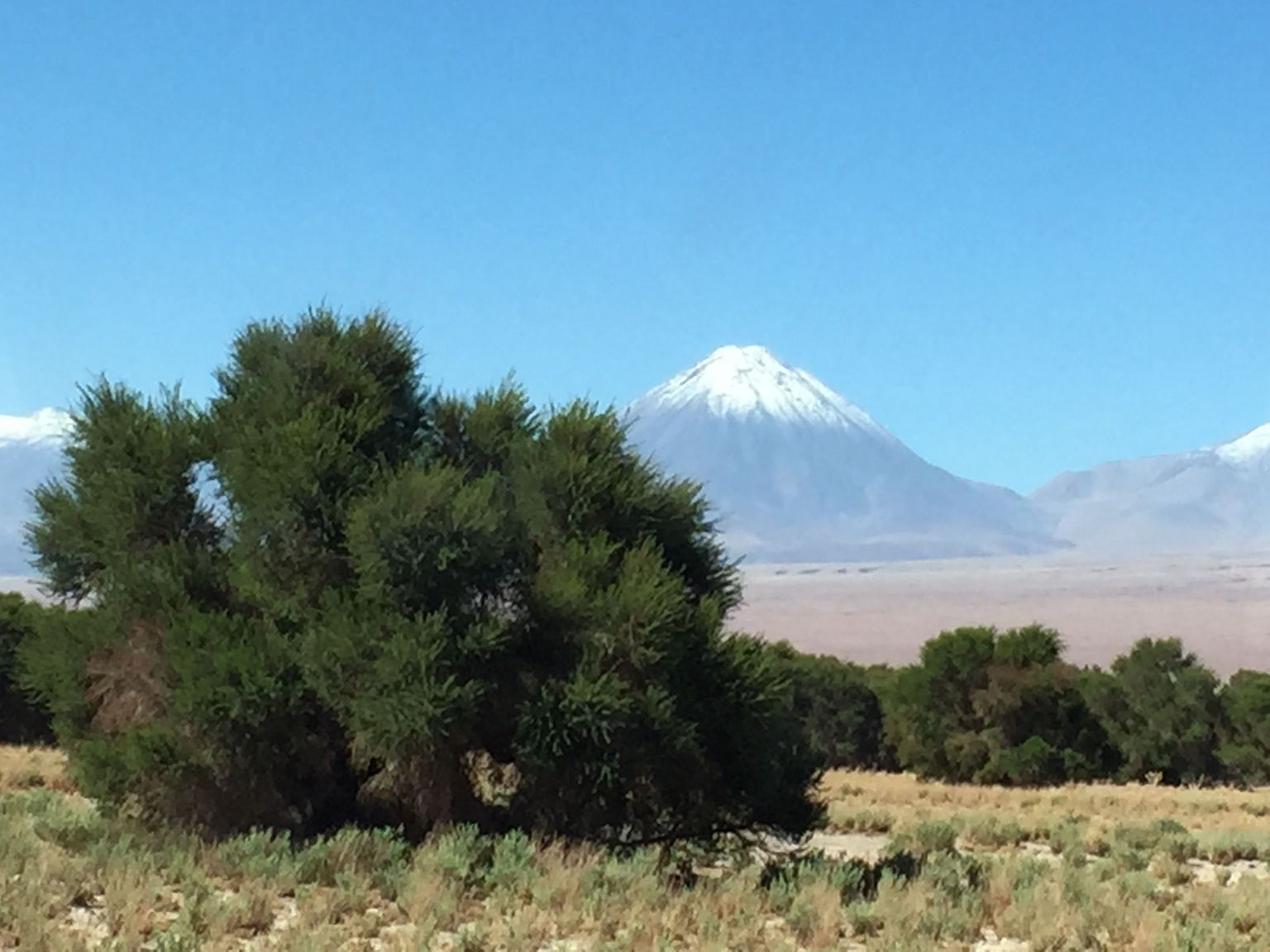 The magestuous Licancabur volcano