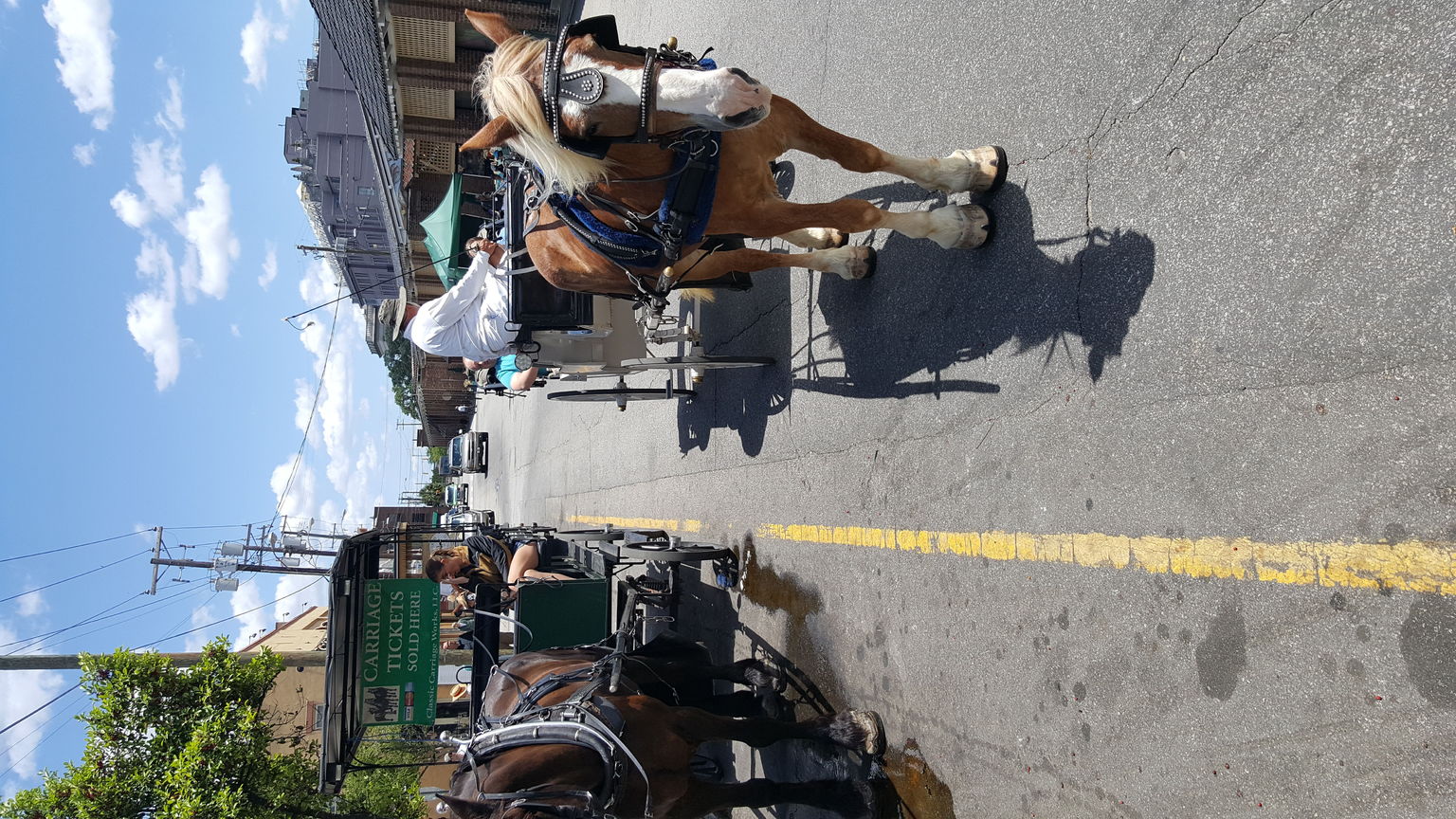 Carriage tours