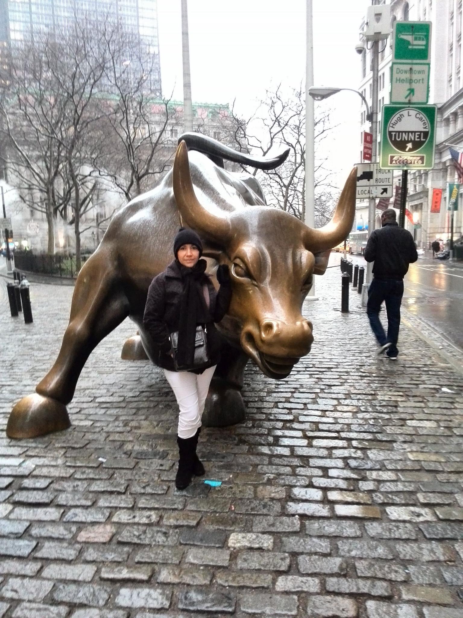 TORO WALL STREET