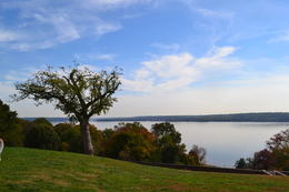Photo of Mt Vernon The view across the sweeping lawn over the Potomac River from the front of Mt Vernon , Nicki52 - November 2013