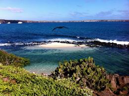 Photo of Beautiful view of Crater Bay, Genovesa Island, Galapagos Beautiful view of Crater Bay, Genovesa Island, Galapagos - August 2011