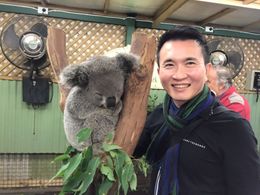 Photo of Featherdale Wildlife Park I was touched by these cute animals and I can actually touch them. It made my day. , Patana T - June 2016