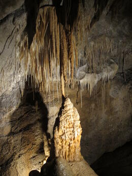 Photo of Marakoopa Cave Stalagmites and stalactites in the Great Cathedral section of the cave. , David C - December 2010