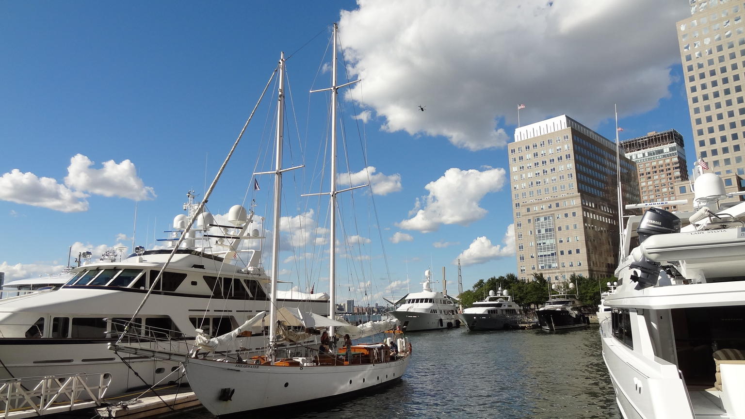 Shearwater in marina