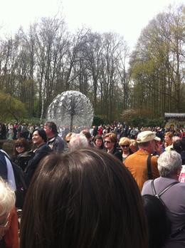 Photo of Keukenhof Tulip Gardens Day Trip from Amsterdam Thousands of people visiting each year. We decided to go on April 26, 2011 which is also the day of the Keukenhof Gardens Flower Parade so it was particular busy. We visited the gardens in the ... , Dominique - September 2011