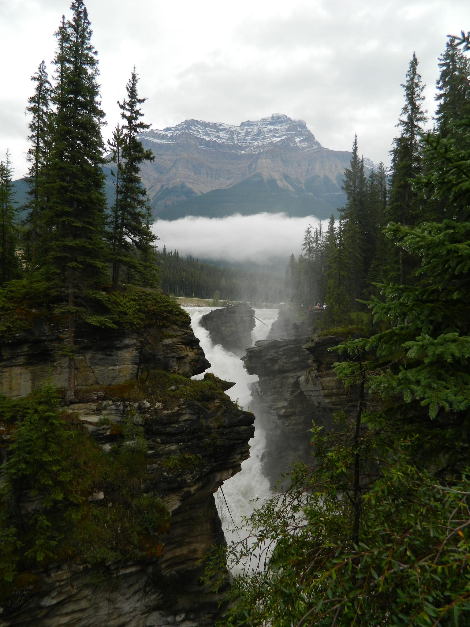 Another view of Athabasca Falls
