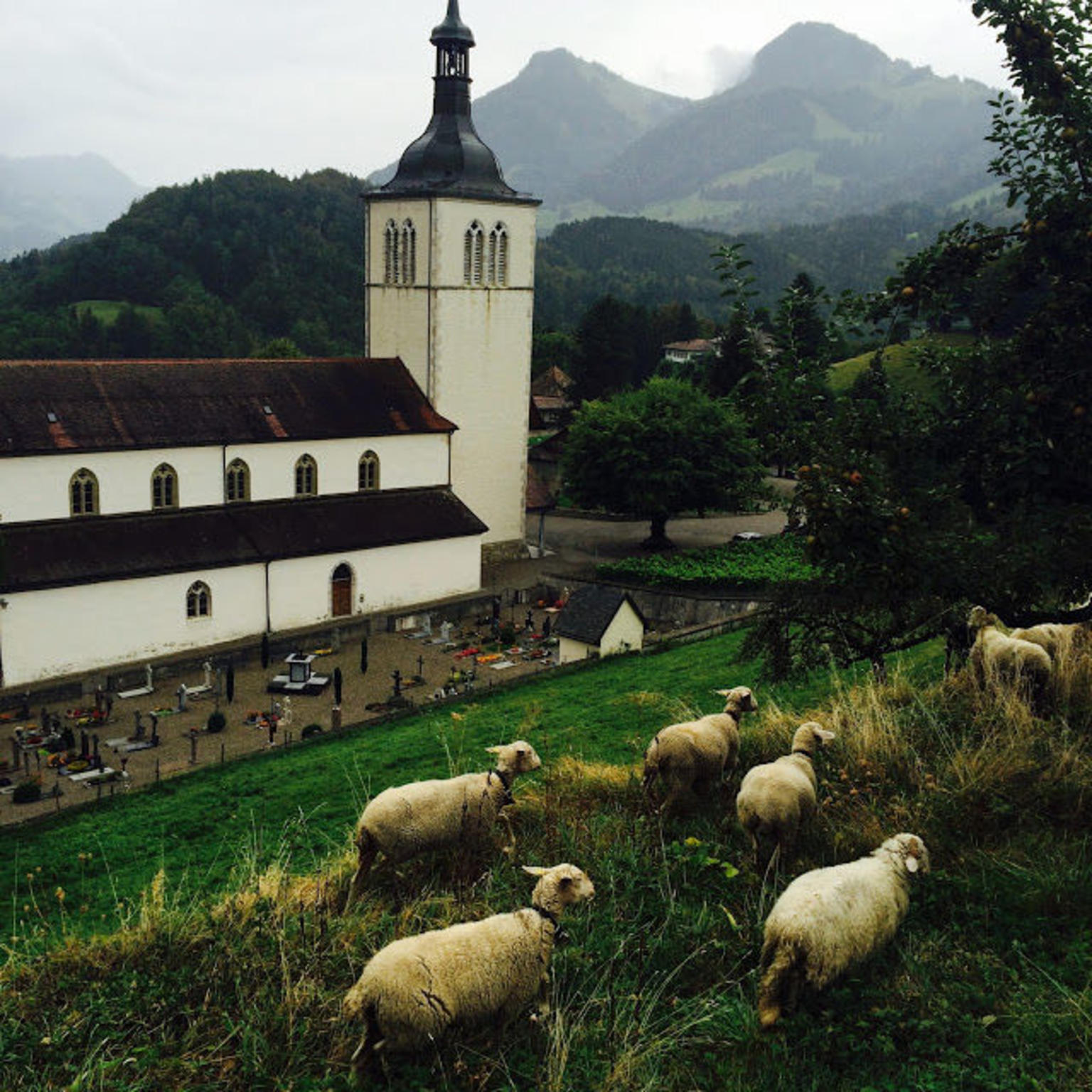 Exploring Gruyeres