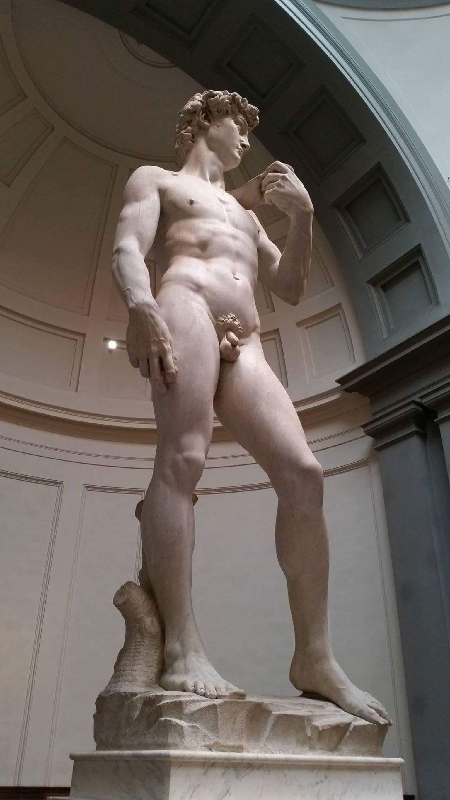 Magnificent Michelangelo !