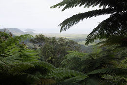 Photo of On the Edge Photo taken on the perimeter of the Daintree rain forest looking towards the ocean. , Brian W - August 2016