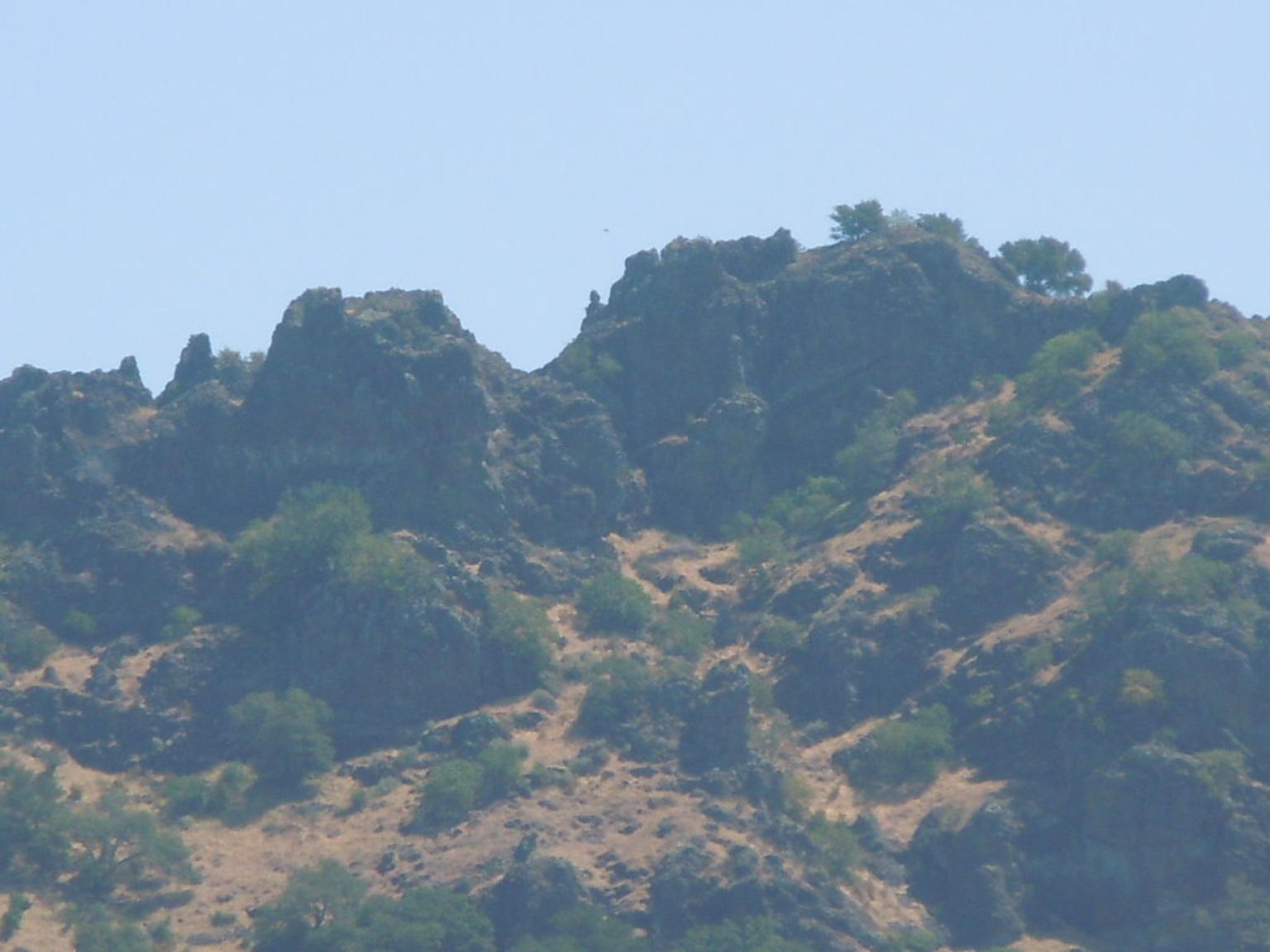 Stag's Leap