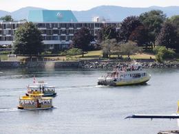 Photo of Water Taxis and Whale Watching Lots of activity in the Harbour with ships, water taxis and even seaplanes landing. , John C - August 2011