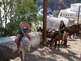 Photo of Riding donkeys! We took donkeys up the steep path from the port to the town on Santorini , clairemc - December 2010