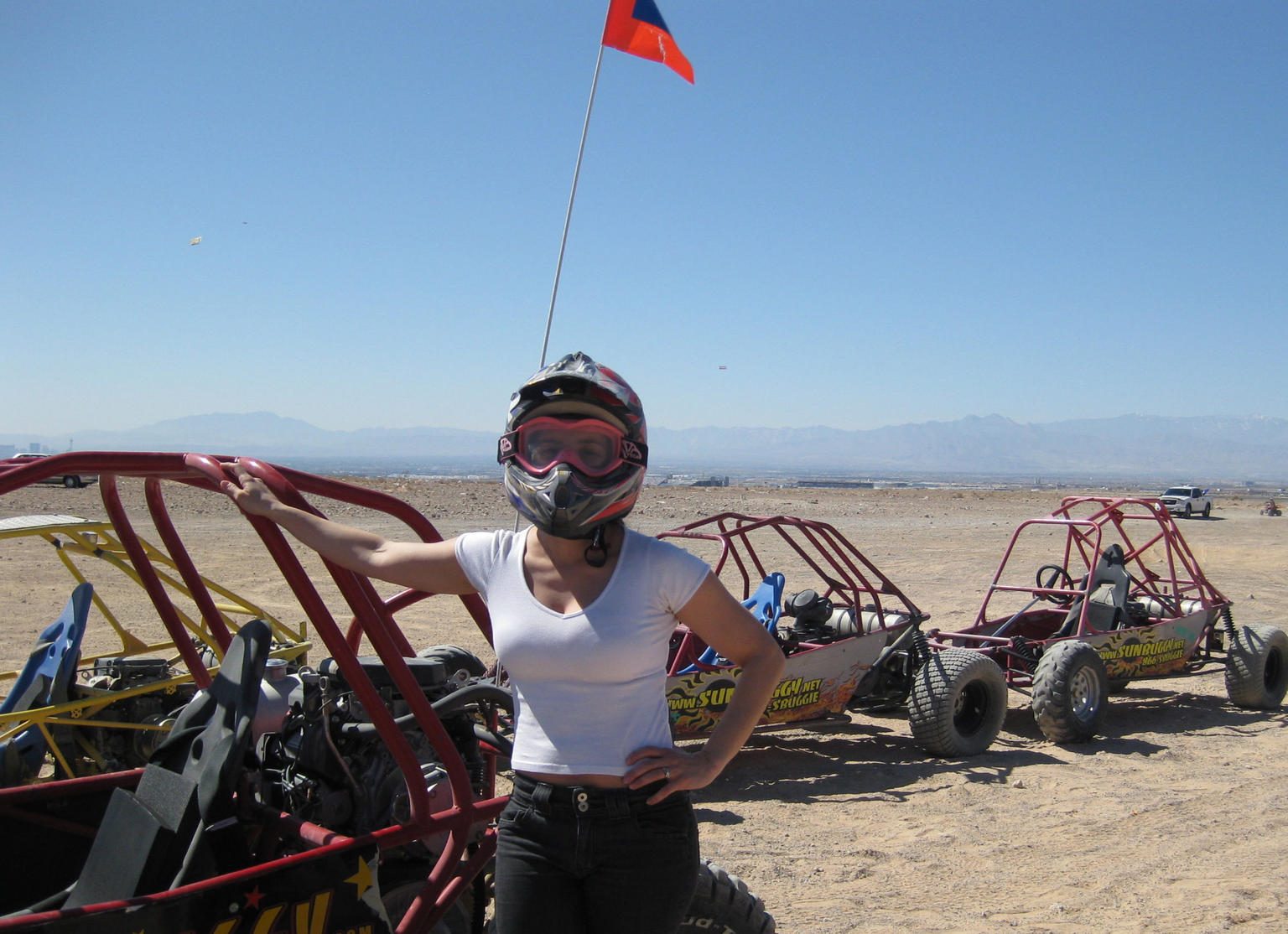 Andrea's buggy
