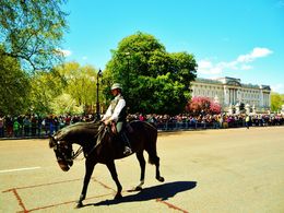 Photo of Changing of the guard at Buckingham Palace. Very large crowd the see the changing of the guard. , Antonio P - May 2015