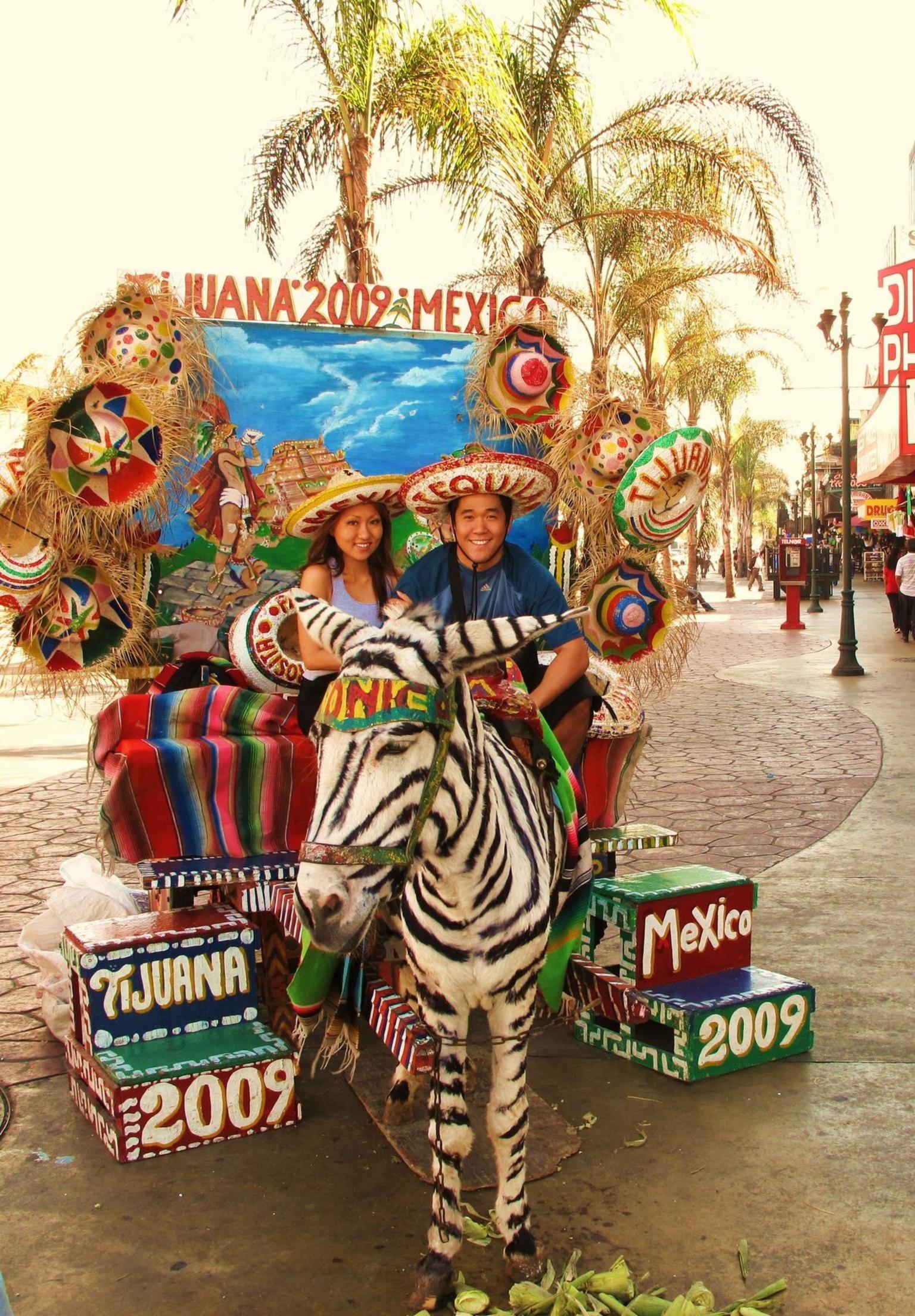 Known in Tijuana as a Zonky...