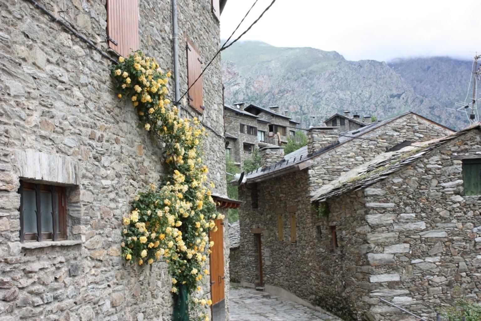 Pyrenees