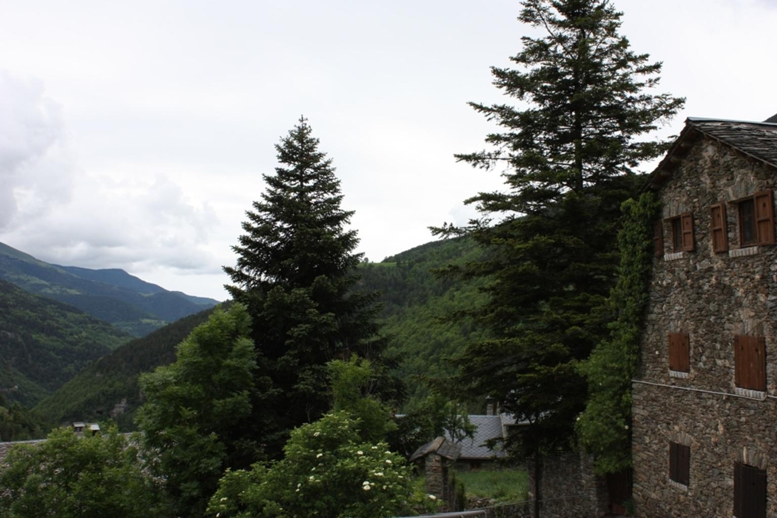 Pyrenees