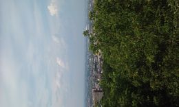 Photo of Top of Mount Royal I did the Montreal city sghtseeing tour. I visited St Josephs Oratory Notre Dame Basilica and saw Montreal from Mount Royal top. , Bill - July 2016