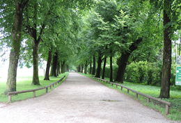 Photo of Confidence in Me The very path Maria used to walk to the Von Trapp home when she got off the bus , Dennis E - August 2016