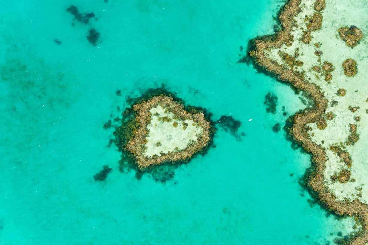 heart reef great barrier reef