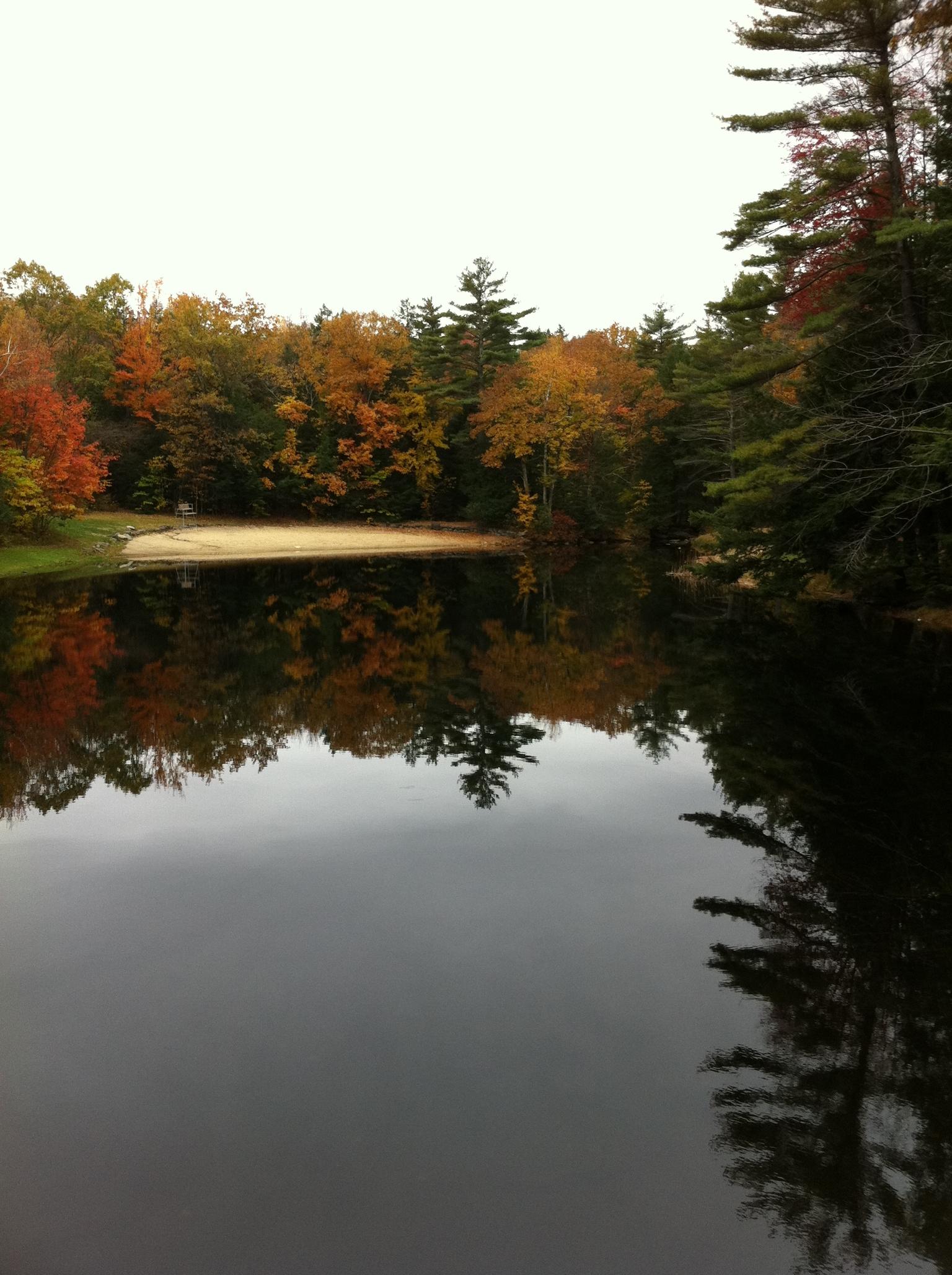 New England 2010