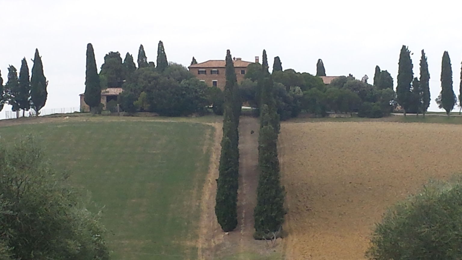 Gladiator House