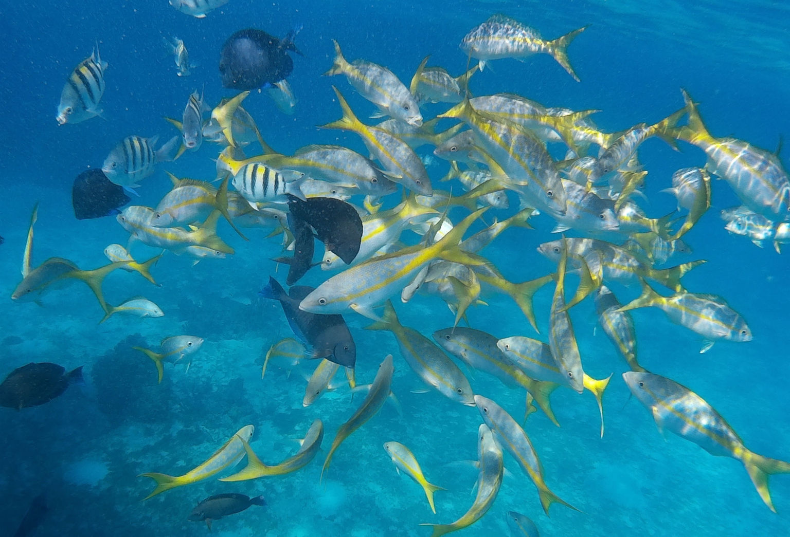 second snorkeling site