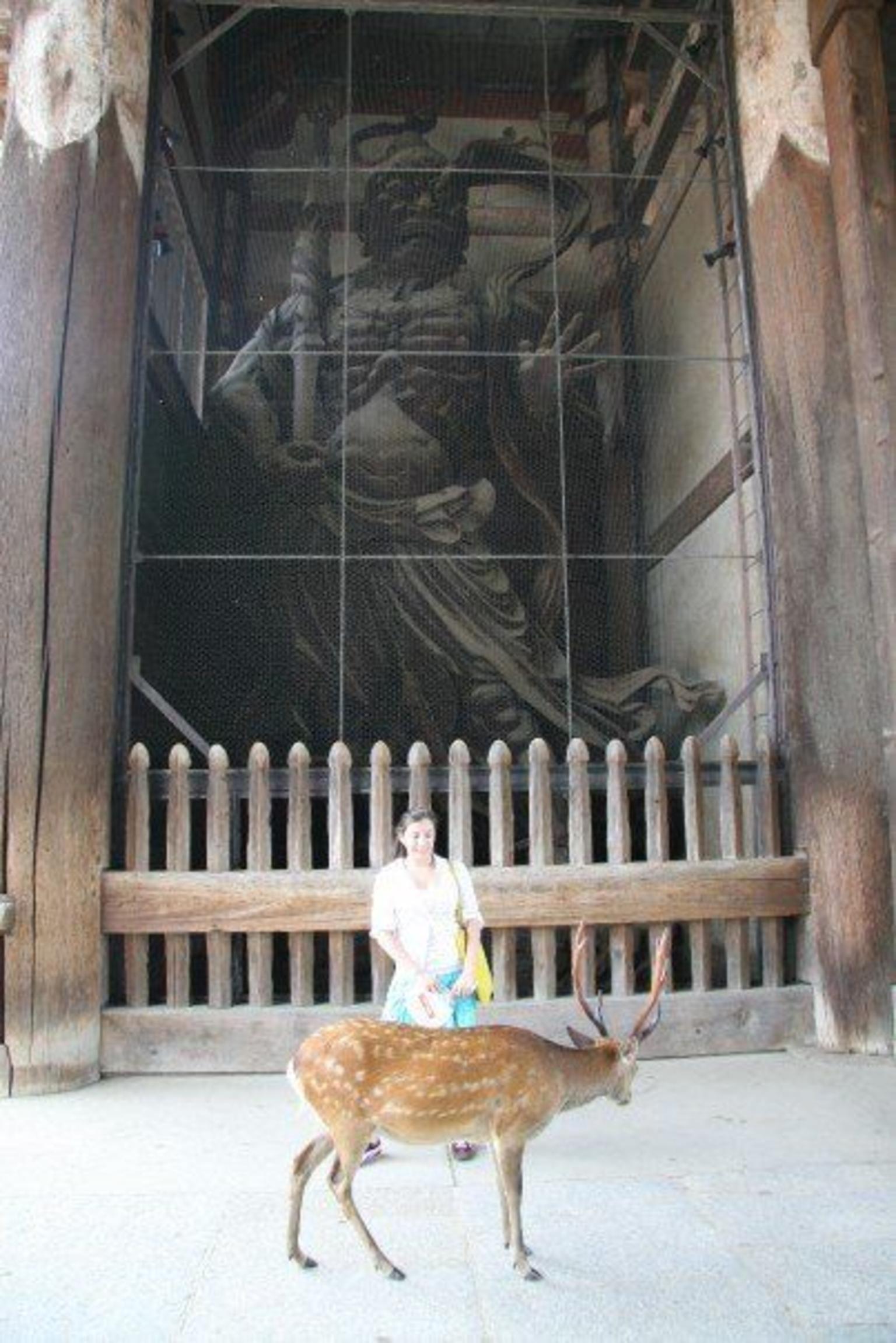 Todaiji temple, Nara