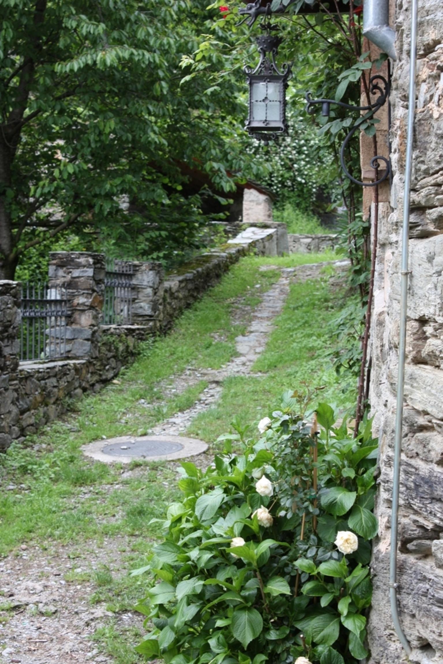 Pyrenees