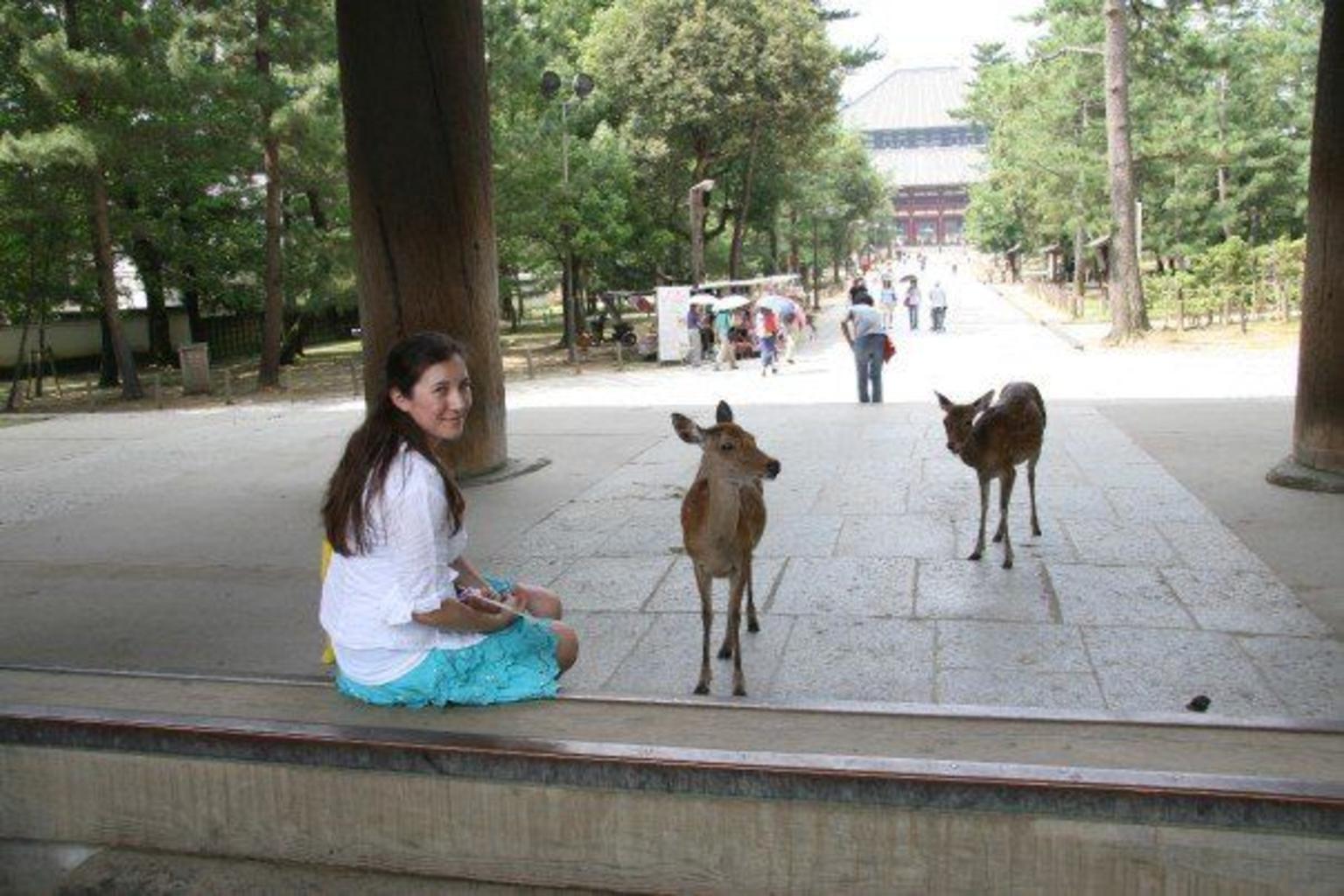 Todaiji temple, Nara