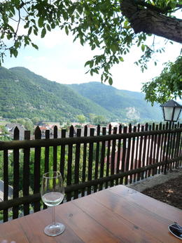 Photo of Wine tasting at a small family heurige Amazing views overlooking the village of Weisskirchen and the Danube. , kcorrington - September 2013