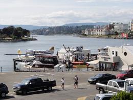 Photo of Victoria - Seaplanes Seaplane tours leave right from the harbour. Watch them come and go all day. Kayaks are also rented nearby. , John C - August 2011
