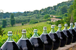 Photo of Wine tasting tour: Vine production in Provence Vine production in Provence with vineyards in the background, stored 3 months in oak barrels and 3 months in glass bottles in the sun - May 2011