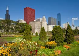 Photo of Downtown Chicago with Sears Tower and Grant Park Downtown Chicago with Sears Tower and Grant Park - May 2011