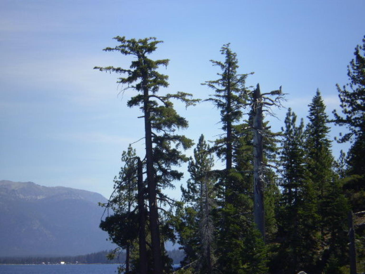 Honeymoon 017