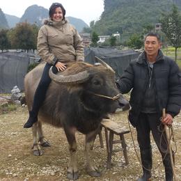 Photo of Me riding a Water Buffalo Feed a village Water Buffalo in Yaoshan and have a picture sitting on her back :) ...part of the extra activity (150¥ for the extension) , Amy-Claire - March 2014