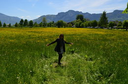 Photo of Taken at Mondsee . . . The hills are truly alive with the Sound of Music in Salzburg . . . , Alvin Q - June 2015